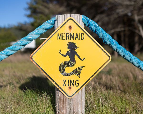 As sereias são seres mitológicos híbridos de mulher e peixe (ou pássaro, em versões antigas). Estão relacionadas ao canto hipnótico que atrai navegantes para a morte. São símbolos de sedução, mistério e perigo nos mares e rios.