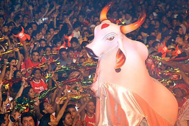 O festival é marcado pela disputa entre dois bois-bumbás: Garantido, representado pela cor vermelha, e Caprichoso, simbolizado pela cor azul. 