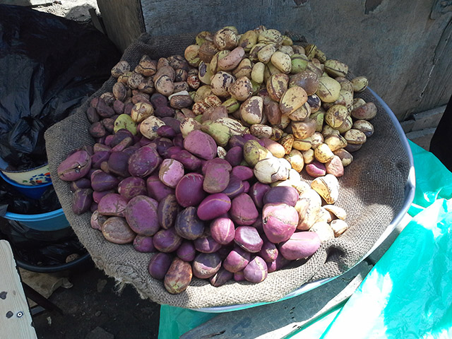 A Coca-Cola é um refrigerante feito à base de noz de cola, uma fruta rica em cafeína e comum na África Ocidental e na Indonésia. A semente também tem função estimulante e relaxante. Ou seja, é para lá de saborosa. 