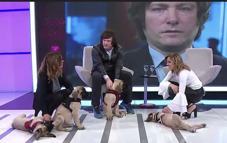 Após a morte de Conan, o dono teria desembolsado US$ 50 mil (R$ 242 mil na cotação atual) para a produção de quatro clones do cão nos Estados Unidos