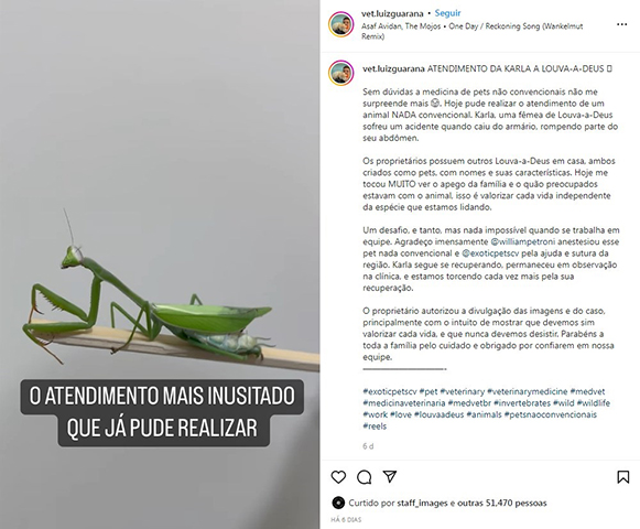 E ele acrescentou: Agora, quando me perguntarem que animal mais estranho que eu já atendi na clínica, a minha resposta, certamente, vai ser: louva-a-deus. A cirurgia, inicialmente, deu certo. Mas depois o louva-a-deus acabou morrendo. 