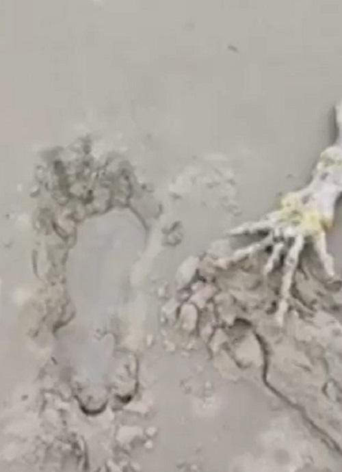 Vale destacar que, olhando tanto de longe como de perto, o esqueleto em questão parece muito com uma mão humana gigante.