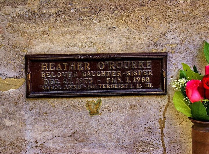 Dias após o ocorrido, os médicos constataram que a doença da atriz derivava de um problema renal e que uma simples cirurgia teria resolvido o problema.