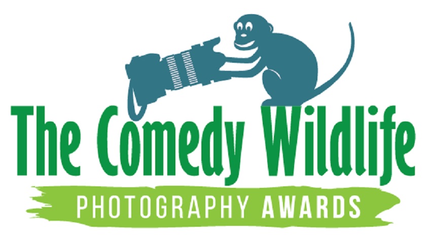 O prêmio Comedy Wildlife Awards 2024 divulgou os vencedores das fotografias de vida selvagem que foram consideradas as mais engraçadas, selecionadas entre quase nove mil fotos enviadas por fotógrafos de 98 países.