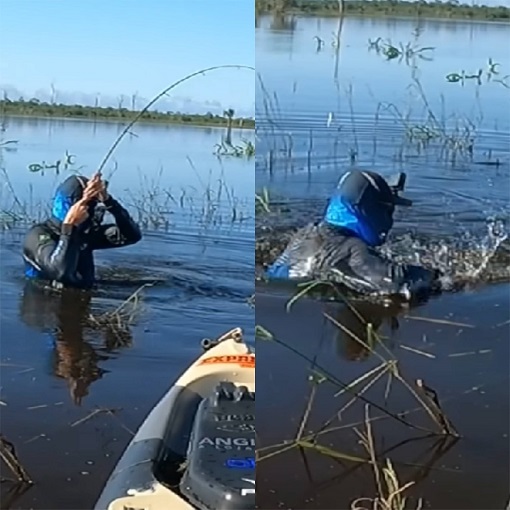 Em determinado momento do vídeo, o pescador desce do barco e entra na água para tentar controlar melhor o enorme peixe.  Mais à frente, Baca comenta que o peixe quebrou sua vara e passou se debatendo pela sua perna. 
