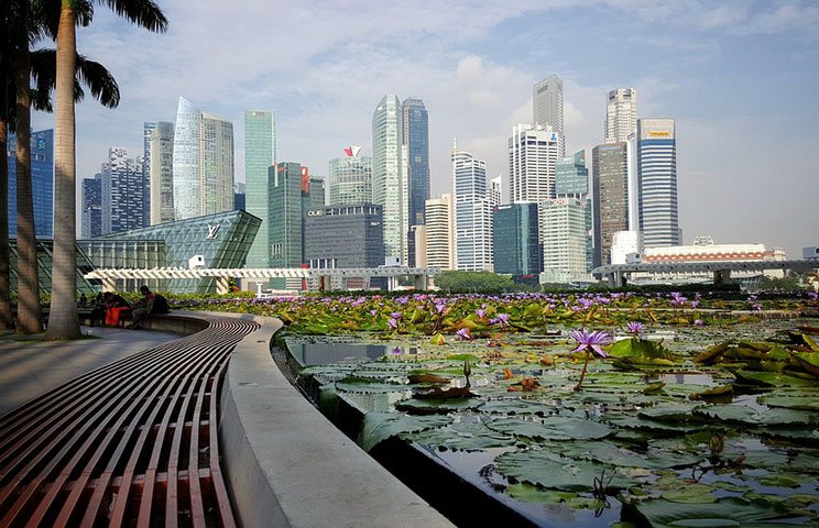 Com uma população de 5,7 milhões de pessoas, a República de Singapura é uma das regiões mais densamente povoadas do mundo, superada apenas pelo Principado de Mônaco e Macau. 
