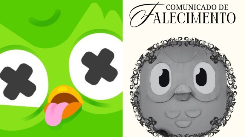 Duolingo morreu? Entenda publicação sobre mascote de aplicativo que confundiu os internautas