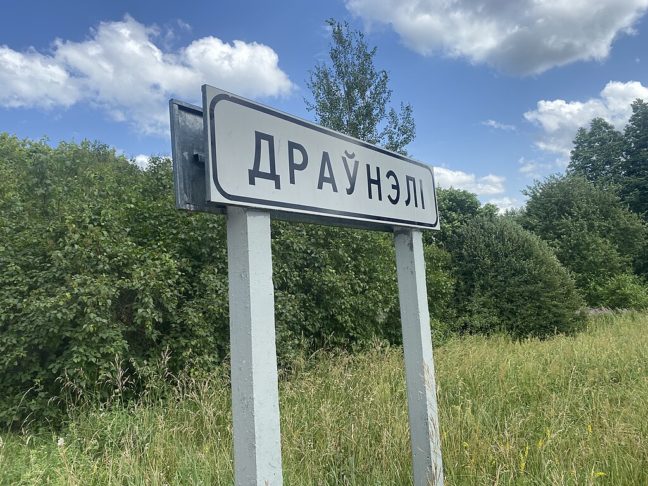 A língua lituana, uma das línguas bálticas mais antigas, é falada pela maioria da população. A moeda oficial é o euro, adotado em 2015.