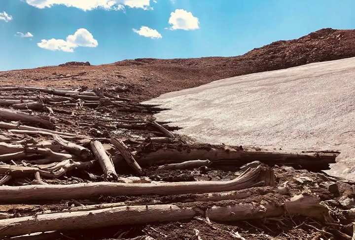 Os detalhes da descoberta foram apresentados no periódico Proceedings of the National Academy of Sciences, no fim de dezembro de 2024.
