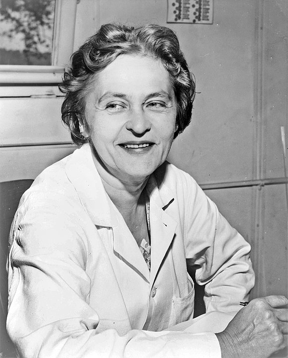 Mária Telkes (1900-1995) foi uma física-química húngara, famosa por seus estudos sobre energia solar. Ela desenvolveu sistemas inovadores para dessalinizar água do mar e também contribuiu para o desenvolvimento de sistemas de aquecimento solar, sendo apelidada de Rainha do Sol devido à sua relevância nas pesquisas energéticas.