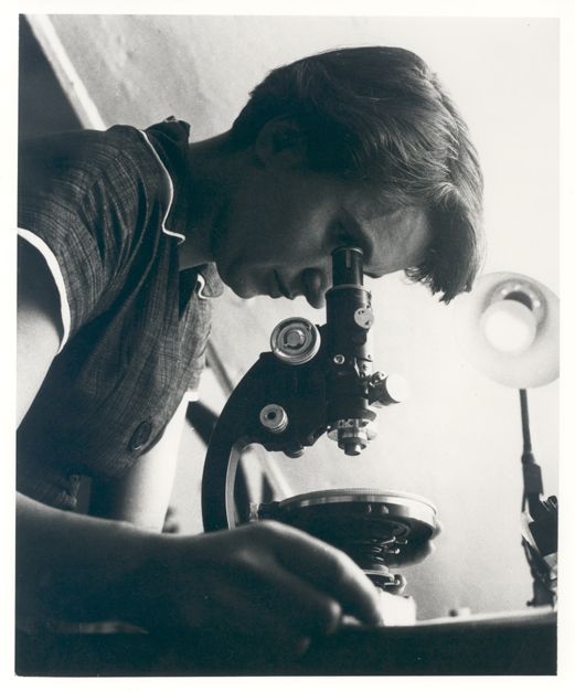 Rosalind Franklin (1920-1958) foi uma biofísica britânica cujos estudos com a difração de raios-X contribuíram para a descoberta da estrutura do DNA. Apesar de não ter sido reconhecida em vida, Franklin é considerada a Mãe do DNA, pois sua pesquisa foi essencial para a formulação da famosa dupla hélice do DNA.