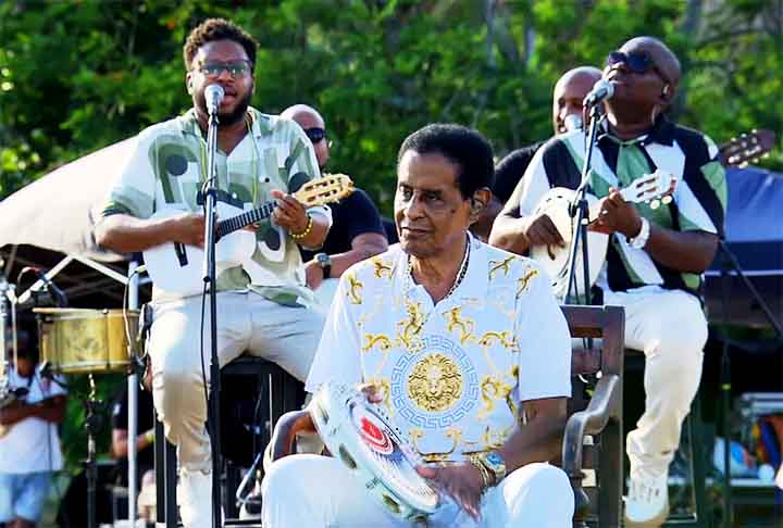 Logo, ela se transformou em “madrinha do bloco e do grupo Fundo de Quintal, composto por alguns desses compositores”, conforme destaca o verbete do “Dicionário Cravo Albin da Música Popular Brasileira”.
