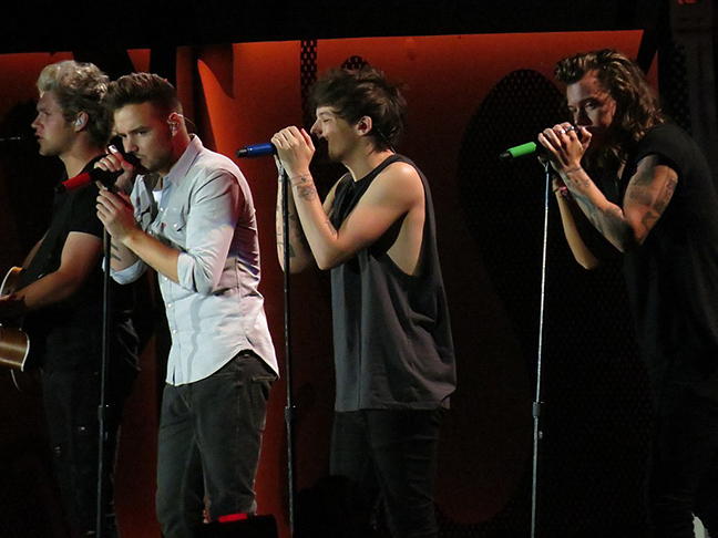 One Direction - A banda foi acusada de plágio no refrão de Drag Me Down pelo compositor Anir Shaheed-Edwards, o Bravo. Ele afirmou que o single é idêntico a All My Life, de sua autoria.