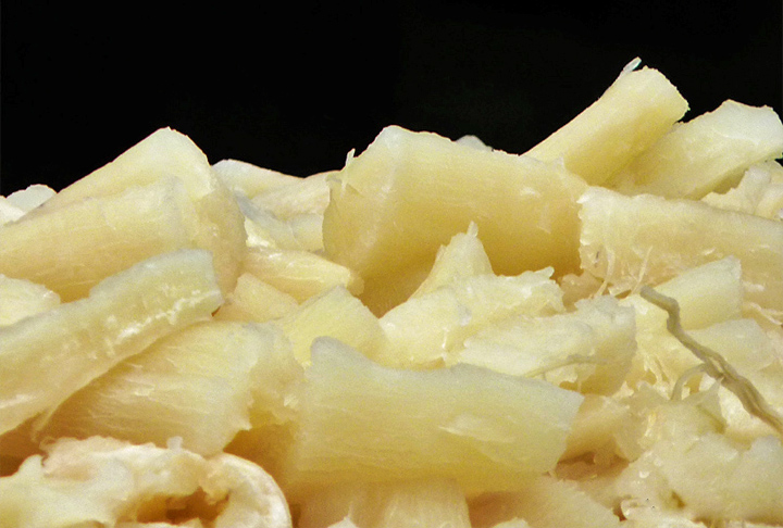 Em sua forma de goma, a mandioca se transforma em uma base para diversos preparos, como o famoso pão de queijo ou até mesmo em massas para empanados e salgadinhos.