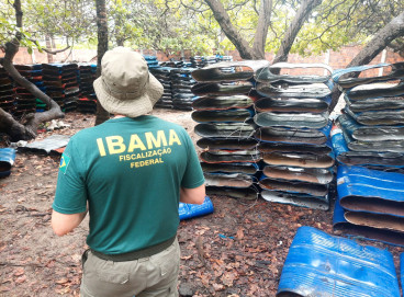 Conforme o Ibama, a ação evita que cerca de 300 toneladas de lagosta sejam pescadas ilegalmente em 2025.  
