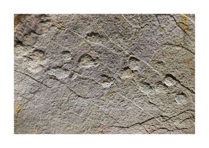 Os cientistas da Universidade de Borgonha, na França, disseram que as pegadas remontam a 168 milhões de anos atrás e estão bem preservadas, inclusive com garras dos animais. Com 1,25 metro de comprimento, as pegadas pertenceram a alguns dos maiores dinossauros do mundo. 