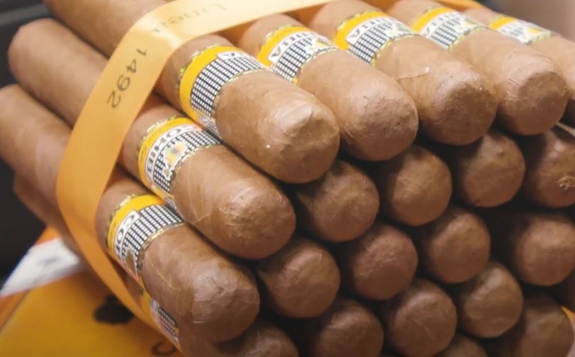 Além de Cuba, outros países produzem charutos de qualidade, como República Dominicana, Brasil, Honduras, México e Jamaica. O clima das Américas é ideal para o cultivo do tabaco, que requer condições de umidade específicas.