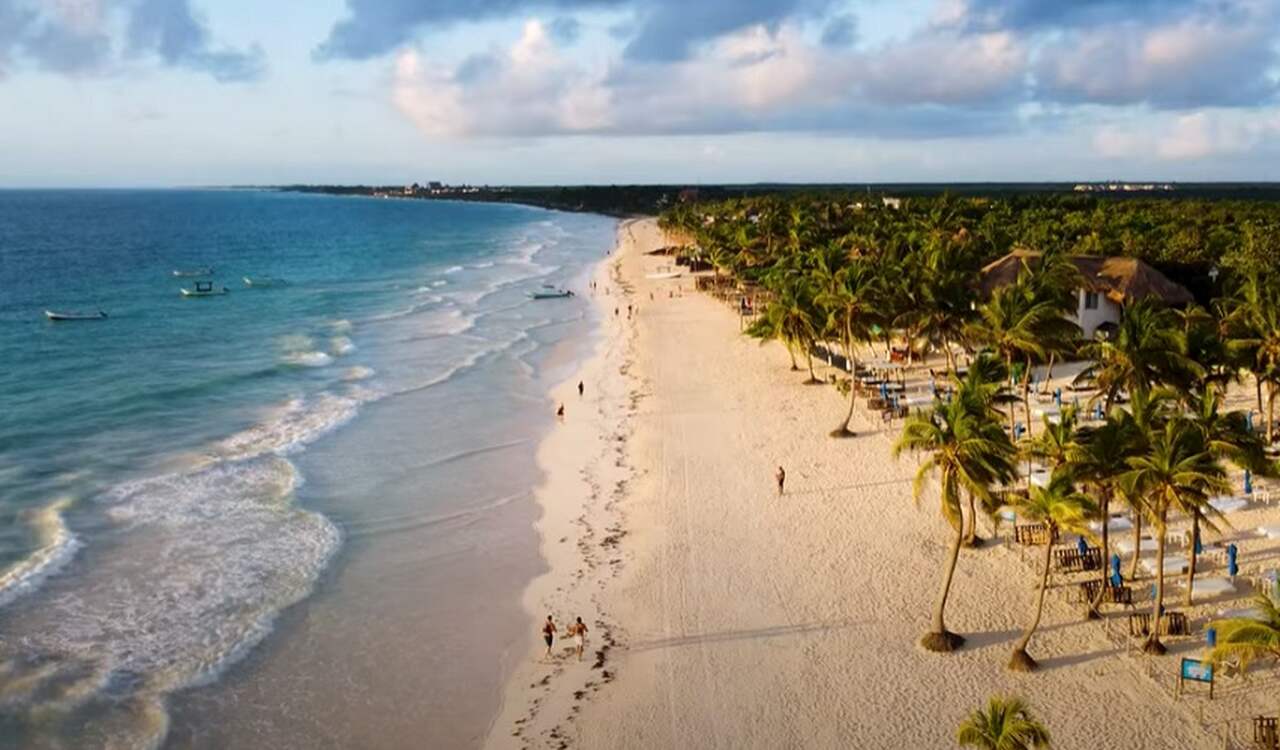A origem do charuto é envolta em mistério, mas acredita-se que o cultivo do tabaco começou na província de Yucatán, no México, pelos maias.