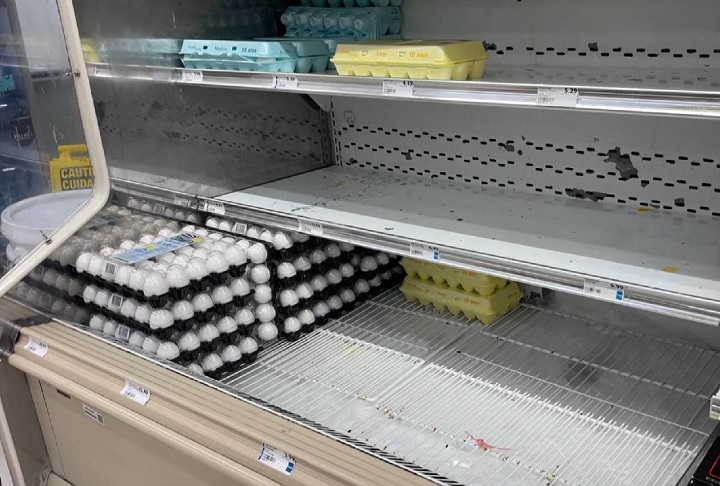 O fenômeno está sendo comparado à corrida por papel higiênico durante a pandemia de covid-19.