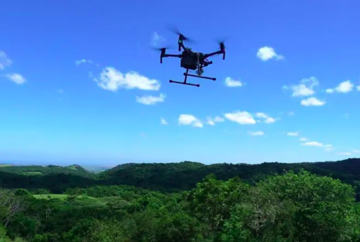 No projeto da Universidade de Southampton, drones tiram fotos aéreas da floresta, que são analisadas por ferramentas de inteligência artificial com o intuito de achar outras plantas.