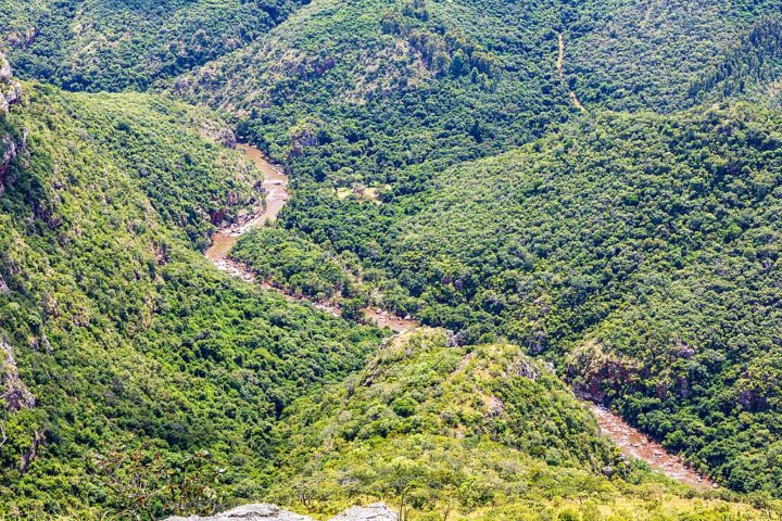 Segundo ela, a floresta nunca foi totalmente explorada para descobrir se a fêmea da planta existe.