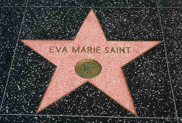 Na Calçada da Fama de Hoollywood, a atriz de Nova Jersey tem duas estrelas, uma pela trajetória no cinema e outra na televisão.
