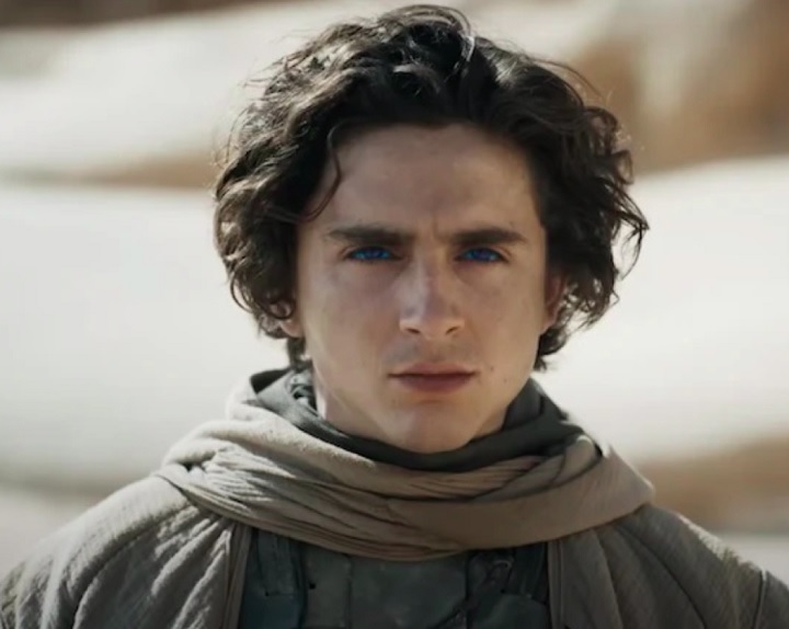 Também em 2019, Chalamet estrelou Adoráveis Mulheres, ao lado de Florence Pugh. Em 2021, protagonizou Duna, papel que reprisou em 2024 em Duna: Parte 2. Antes disso, em 2023, o ator ainda foi protagonista de Wonka. Ele vive Bob Dylan na cinebiografia do cantor 