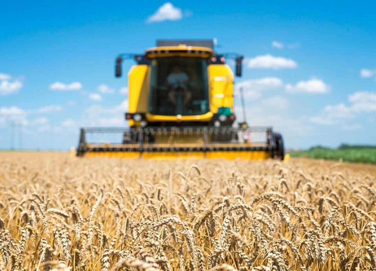 A pesquisa em melhoramento genético de sementes e a adoção de tecnologias de cultivo são fundamentais para alcançar maior qualidade e maior produtividade nas lavouras nacionais.