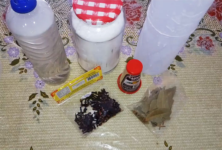 Quem gosta de cozinhar conhece a importância das ervas usadas para dar um sabor especial ao tempero. 