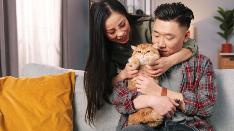 Os gatos são animais de estimação populares no Brasil (Imagem: VAKS-Stock Agency | Shutterstock)