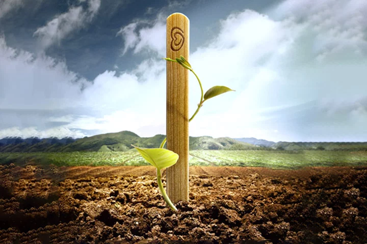 O palito premiado não precisa ser trocado por um novo picolé na mesma data da compra, tampouco precisa ser feita com o mesmo sorveteiro em que a compra foi realizada. Porém, a troca só pode ser feita nas cidades do litoral paulista contempladas com a campanha atual.

