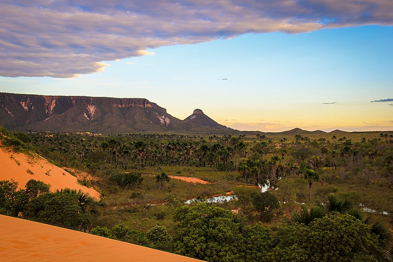 O Jalapão é o maior parque estadual do Tocantins e fica a 180 km de distância da capital, Palmas. Passou à condição de unidade de conservação de proteção integral em 2001 e é administrado pelo Instituto Natureza do Tocantins. 