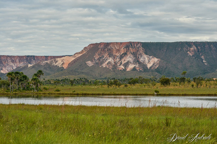 O território está protegido por cinco unidades de conservação integral da natureza: a Estação Ecológica Serra Geral do Tocantins, a Estação Ecológica do Rio Preto, o Monumento Natural Canyons e Corredeiras do Rio Sono, o Parque Estadual do Jalapão e o Parque Nacional das Nascentes do Rio Parnaíba 