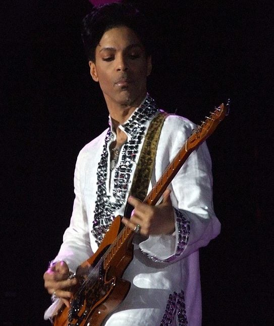 Prince Rogers Nelson, mais conhecido como Prince, nasceu em 7 de junho de 1958, em Minneapolis, Minnesota.