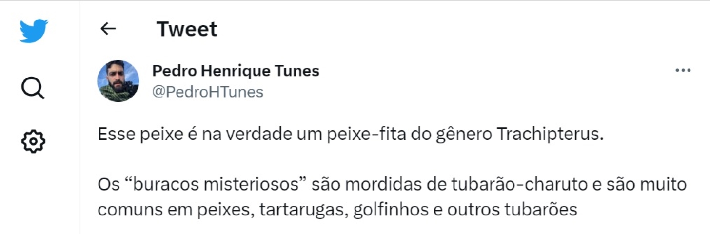 Porém, no Twitter, o biólogo Pedro Henrique Tunes desvendou o mistério. Trata-se de um peixe-fita, do gênero Trachipterus. 