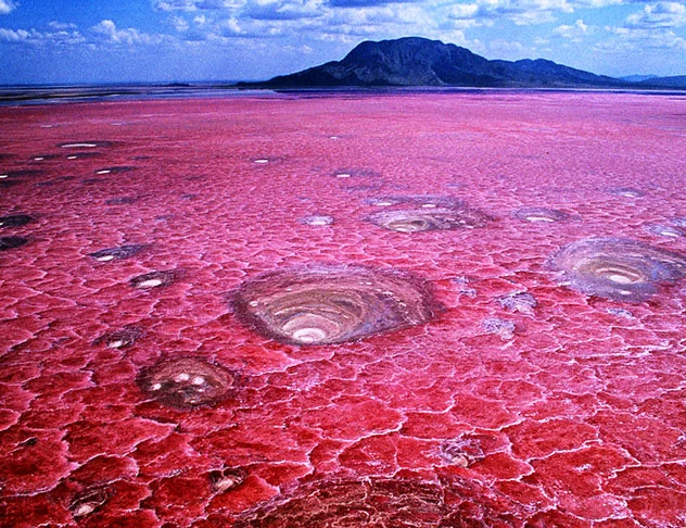 Lago Natron (Tanzânia) - Lago salgado que coloração rosa por causa do grande volume de natrão, um mineral formado por carbono de sódio. O lugar é tóxico para a maioria dos animais e os seres humanos. Mas é um habitat de flamingos. 