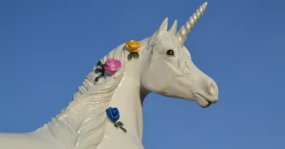 Algumas tribos indígenas americanas mencionam criaturas semelhantes a unicórnios em suas lendas, embora não sejam descritas exatamente da mesma forma.