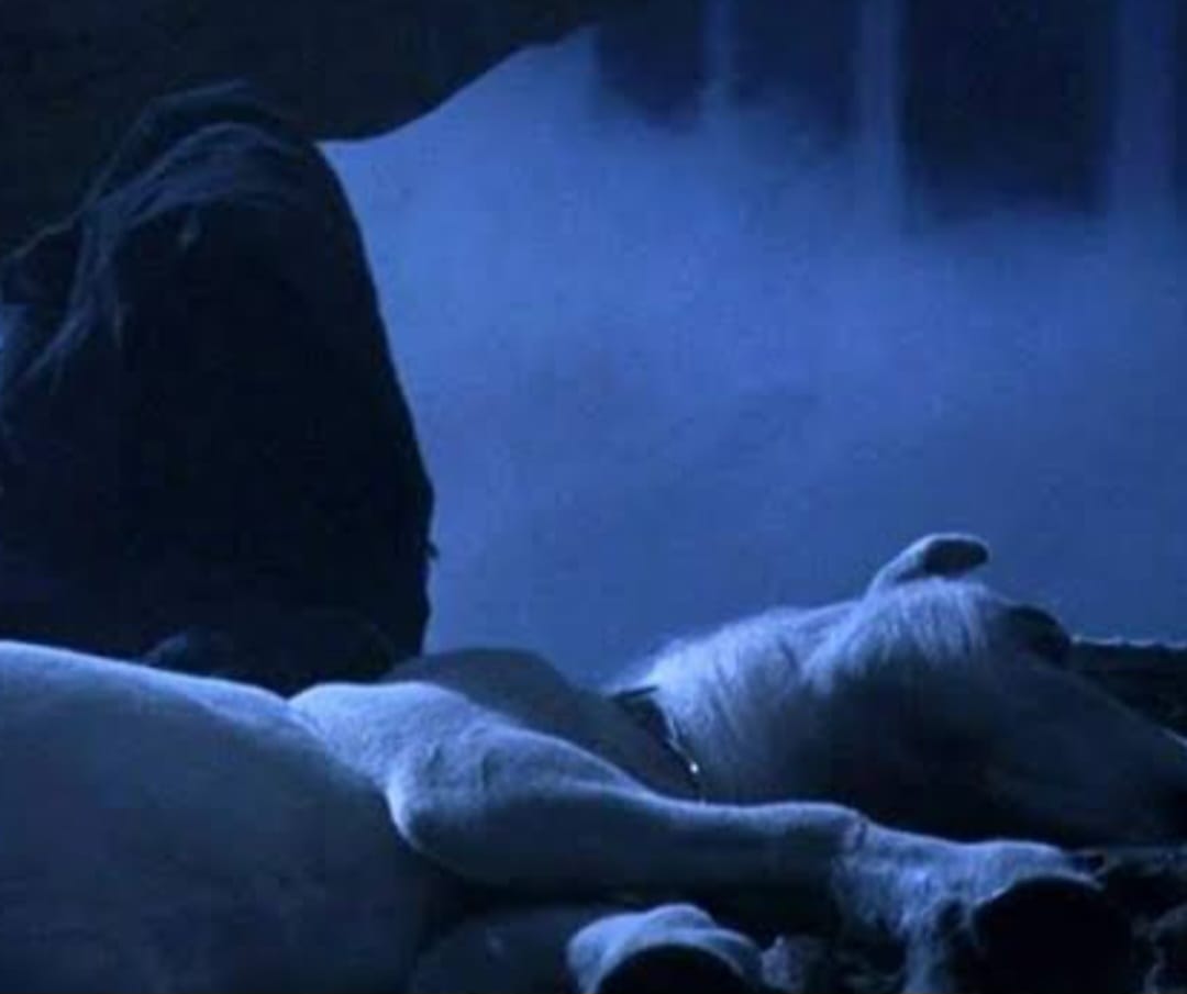 O sangue de unicórnio é mencionado como tendo propriedades mágicas poderosas. É dito que quem bebe seu sangue ganha uma vida prolongada, mas isso vem à custa da vida da criatura, sublinhando a ideia de que a imortalidade pode ser uma maldição.