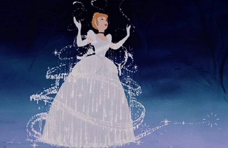 As Princesas da Disney é uma franquia de mídia focada em produtos infantis, tais quais brinquedos, roupas, cosméticos, decoração, entre outras coisas. A marca tem como base as personagens femininas que estrelaram alguns dos filmes animados mais bem sucedidos da Disney.