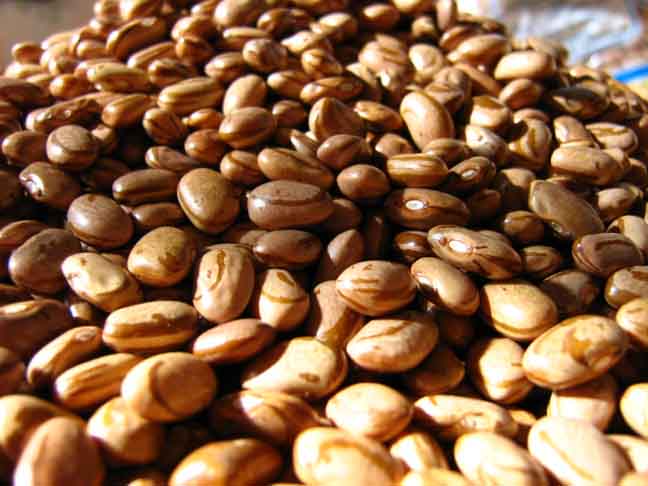 100 gramas de feijão carioca cozido contém cerca de 8,5 gramas de fibras. Além disso, este alimento também é uma boa fonte de cálcio, proteína, ferro, magnésio, fósforo, potássio, selênio, folato e colina. 