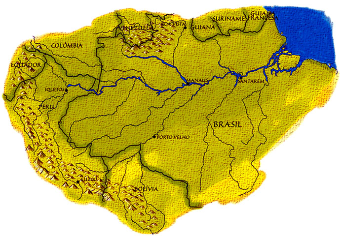 O Amazonas tem uma rica biodiversidade de animais, sendo mais de 2.100 espécies de peixes, com várias descobertas a cada ano. Por sinal, é uma essencial via de transportes, abrigando seis portos: Manaus, Santana, Santarém e Tabatinga, no Brasil; Letícia, na Colômbia, e Iquitos, no Peru.