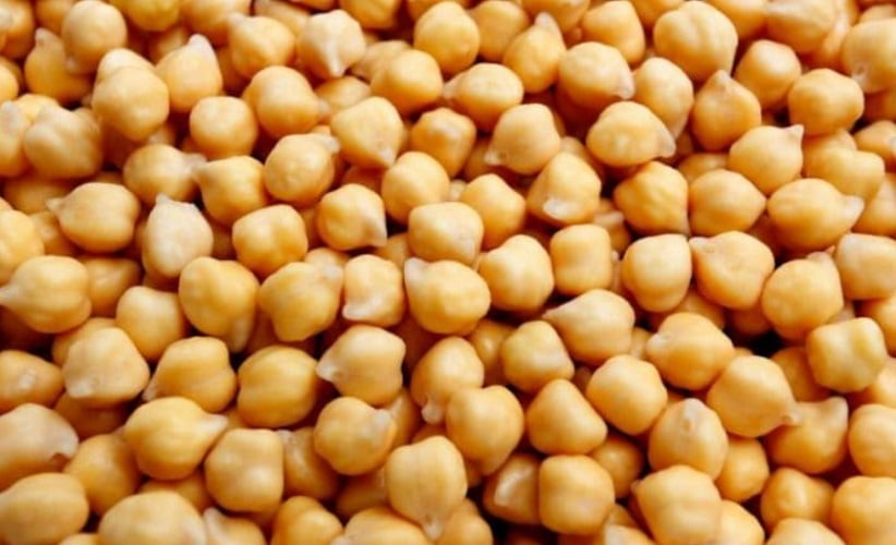 O grão de bico é uma leguminosa rica em fibras, proteínas, vitaminas e minerais. Desse modo, 100 gramas deste alimento cozido pode conter entre 8 e 18 gramas de fibras. 