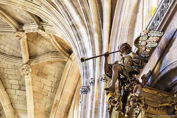 A Bíblia menciona vários instrumentos musicais usados em celebrações e louvores, sendo os principais: Trombeta, harpa, cítara, lira , flauta, tamborim e saltério