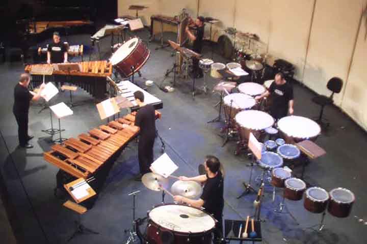 A percussão tem tímpanos, bombo, pratos, triângulo   xilofone , marimba, glockenspiel e tamborim. 