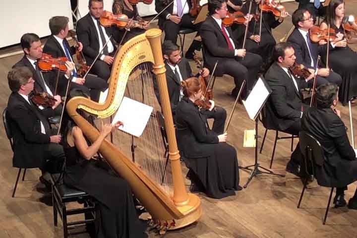 Harpa: Tem várias cordas dedilhadas, produzindo sons etéreos e cristalinos. Originada no Egito Antigo e modernizada na França no século XIX por Sébastien Érard. Adiciona cor e brilho, com acordes arpejados e efeitos angelicais.
