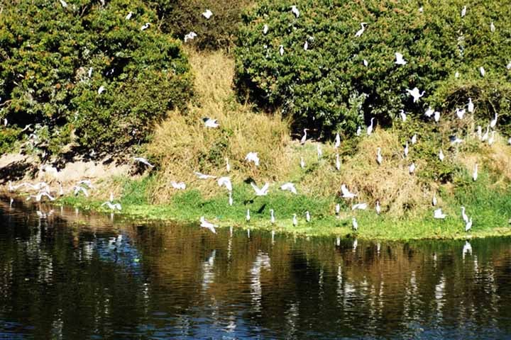 O Projeto Tietê, iniciado em 1992 pela Sabesp (Companhia de Saneamento Básico do Estado de São Paulo), é um dos principais programas de recuperação do rio. 