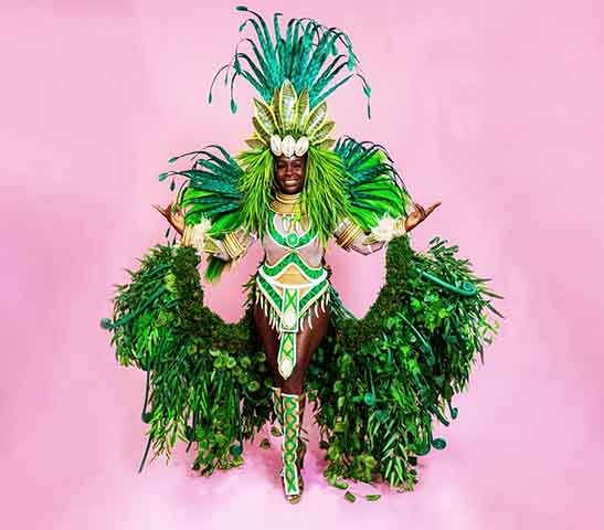 As plumas são materiais nobres utilizados em fantasias de carnaval, principalmente por passistas, musas e destaques. As plumas podem ser de animais como faisões, galos, pavões, gansos e cisnes (de forma artificial).