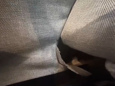 Brecha do sofá onde a gata Sunny-Loo foi encontrada por sua família