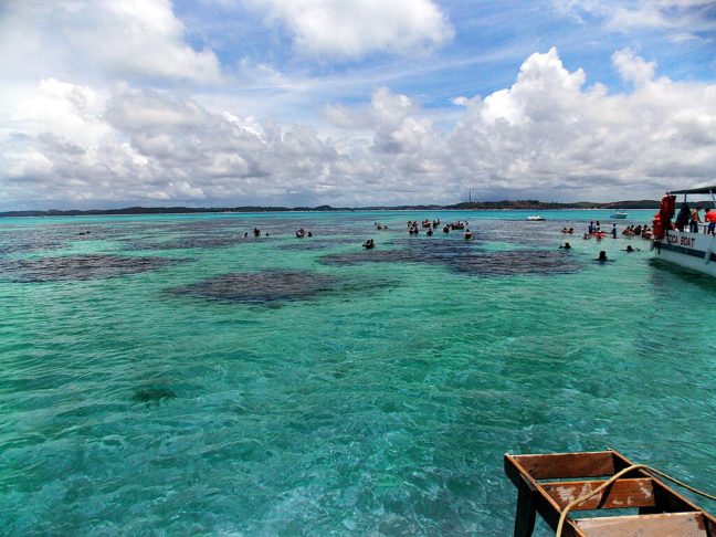 Ao g1, a prefeitura de Maragogi afirmou que realiza inspeções em todas as piscinas naturais dentro da Área de Proteção Ambiental (APA) do município, controlando a capacidade máxima de visitantes para minimizar impactos ambientais.