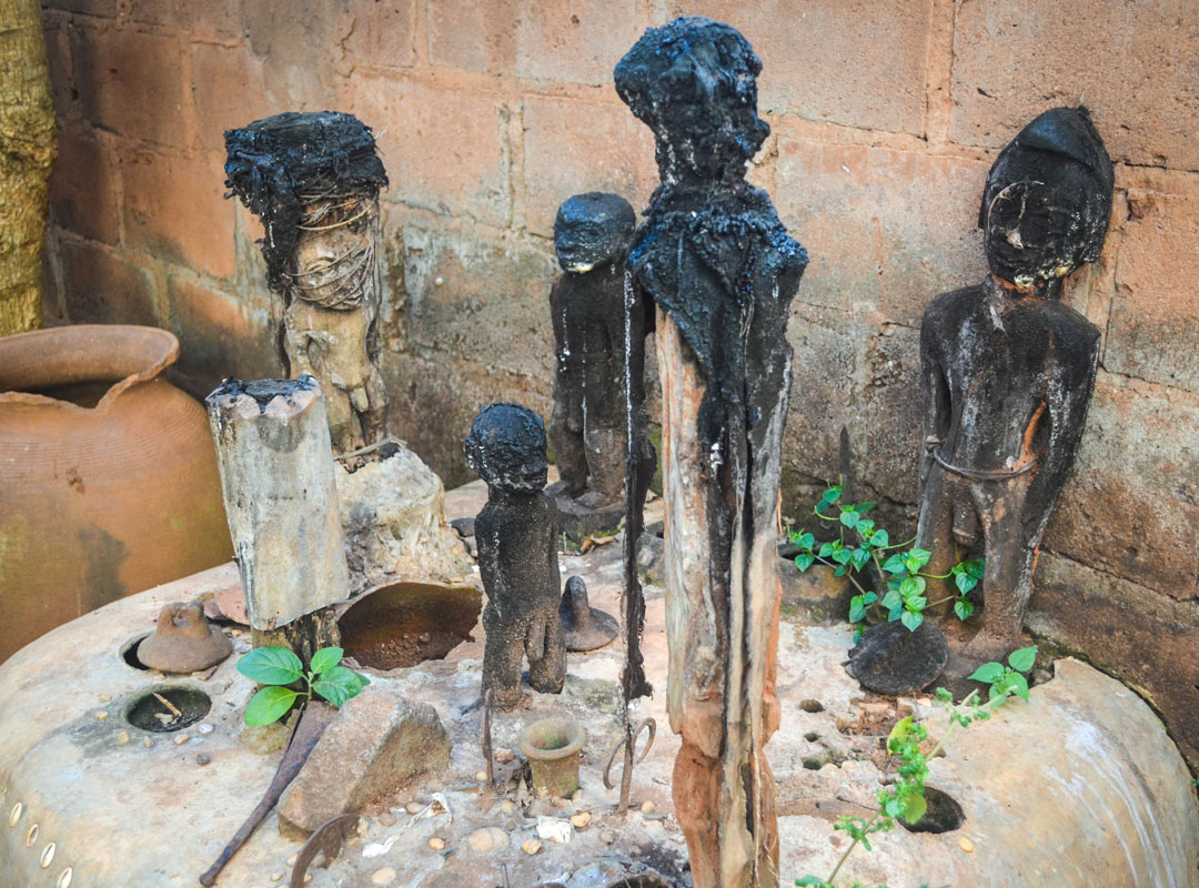 Dan seria um vodum maí representado na forma de uma serpente arco-íris. É equivalente ao loá Dambalá do tambor de Mina, vodu haitiano e ao orixá Oxumarê do candomblé.